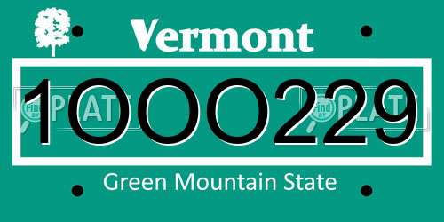 1OOO229 Vermont License Plate