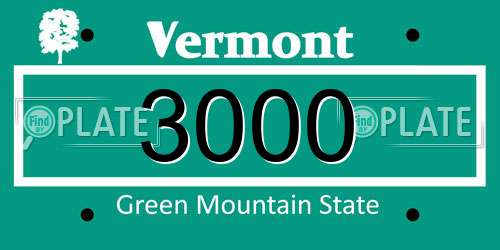 3000 Vermont License Plate