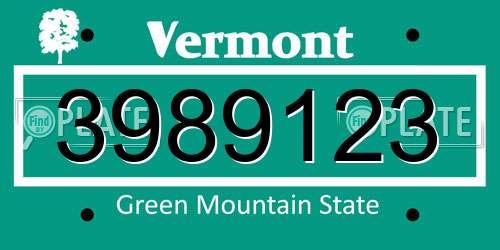 3989123 Vermont License Plate