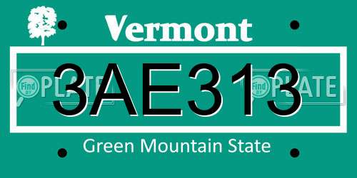 3AE313 Vermont License Plate