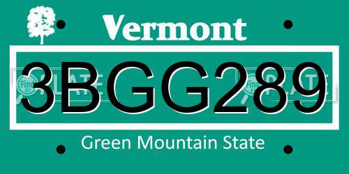 3BGG289 Vermont License Plate