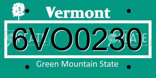 6VO0230 Vermont License Plate