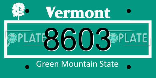 8603 Vermont License Plate