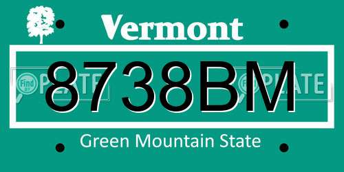 8738BM Vermont License Plate
