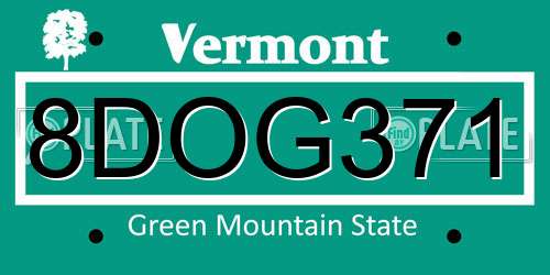 8DOG371 Vermont License Plate