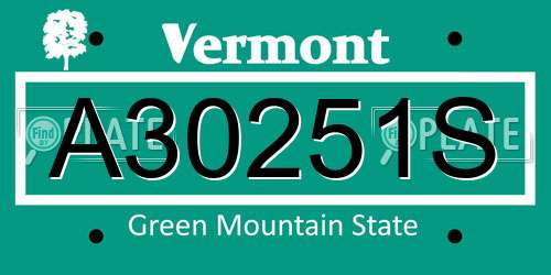 A30251S Vermont License Plate