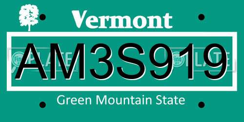 AM3S919 Vermont License Plate