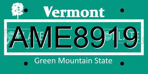 AME8919 Vermont License Plate