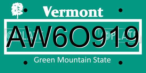 AW6O919 Vermont License Plate