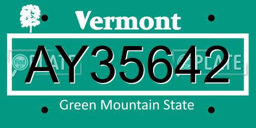 AY35642 Vermont License Plate