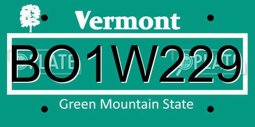 BO1W229 Vermont License Plate