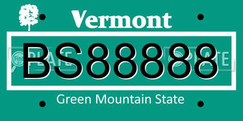 BS88888 Vermont License Plate