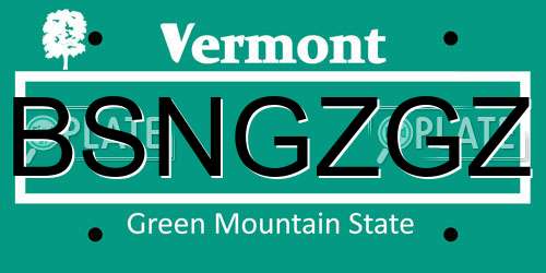 BSNGZGZ Vermont License Plate