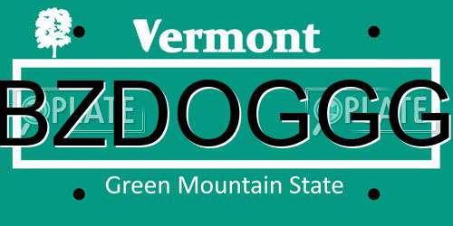 BZDOGGG Vermont License Plate