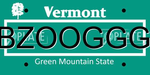 BZOOGGG Vermont License Plate