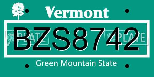 BZS8742 Vermont License Plate