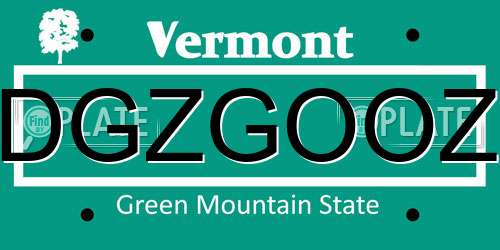 DGZGOOZ Vermont License Plate