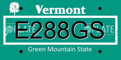 E288GS Vermont License Plate