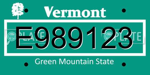 E989123 Vermont License Plate