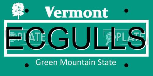 ECGULLS Vermont License Plate
