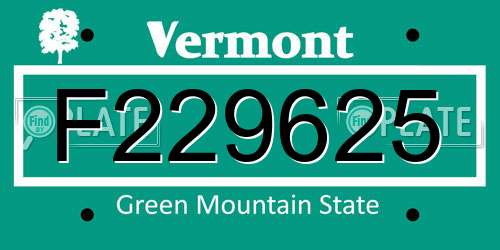 F229625 Vermont License Plate
