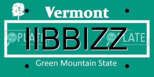 IIBBIZZ Vermont License Plate