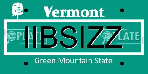 IIBSIZZ Vermont License Plate