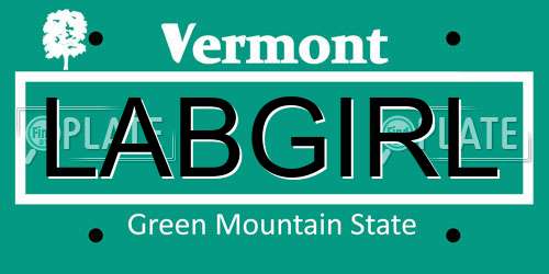 LABGIRL Vermont License Plate