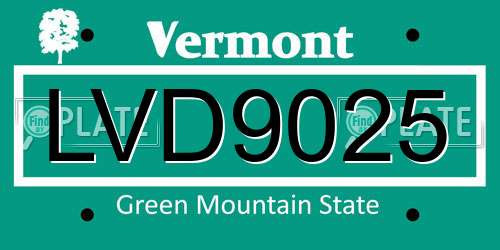 LVD9025 Vermont License Plate