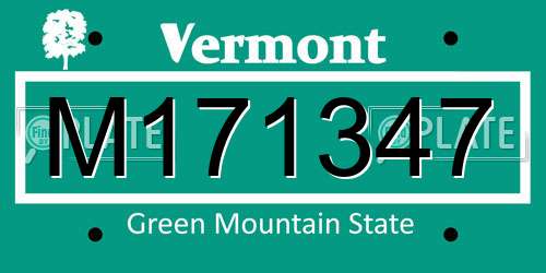 M171347 Vermont License Plate