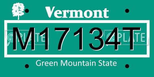 M17134T Vermont License Plate