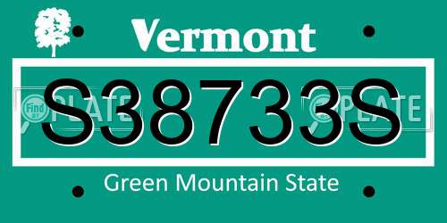 S38733S Vermont License Plate