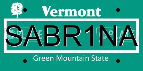 SABR1NA Vermont License Plate