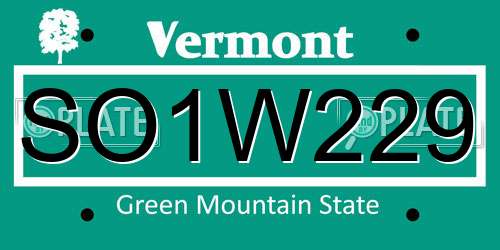SO1W229 Vermont License Plate