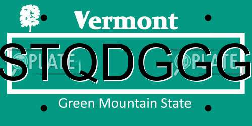 STQDGGG Vermont License Plate