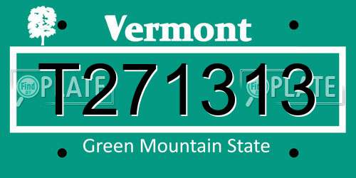 T271313 Vermont License Plate