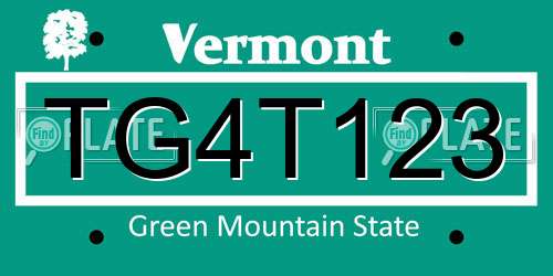 TG4T123 Vermont License Plate