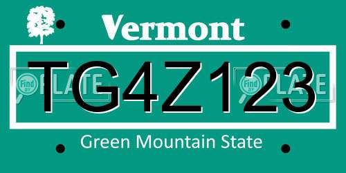 TG4Z123 Vermont License Plate