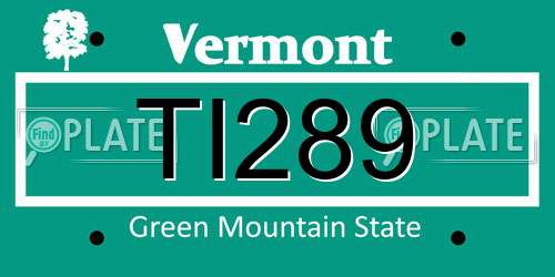 TI289 Vermont License Plate
