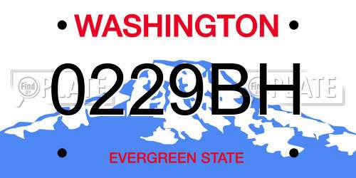 0229BH Washington License Plate