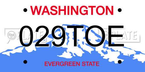 029TOE Washington License Plate