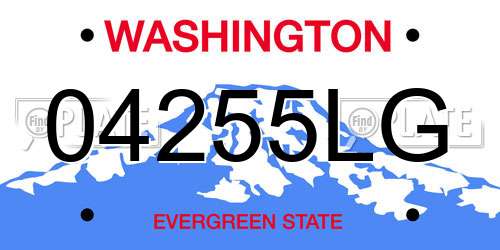04255LG Washington License Plate