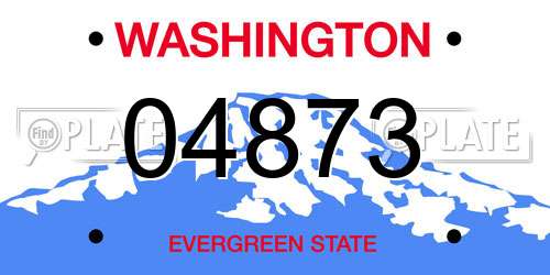 04873 Washington License Plate