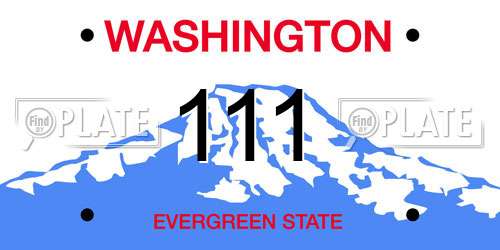 111 Washington License Plate