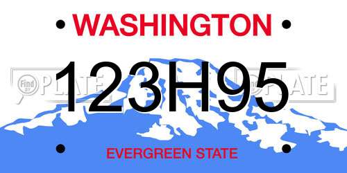 123H95 Washington License Plate