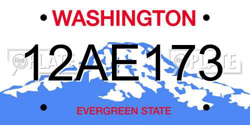12AE173 Washington License Plate