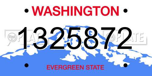 1325872 Washington License Plate