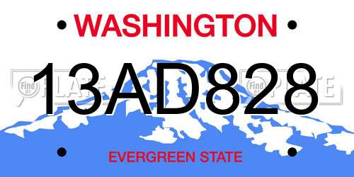13AD828 Washington License Plate