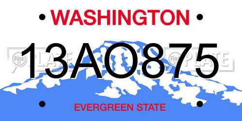 13AO875 Washington License Plate