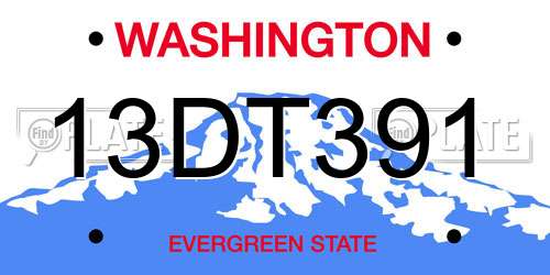 13DT391 Washington License Plate